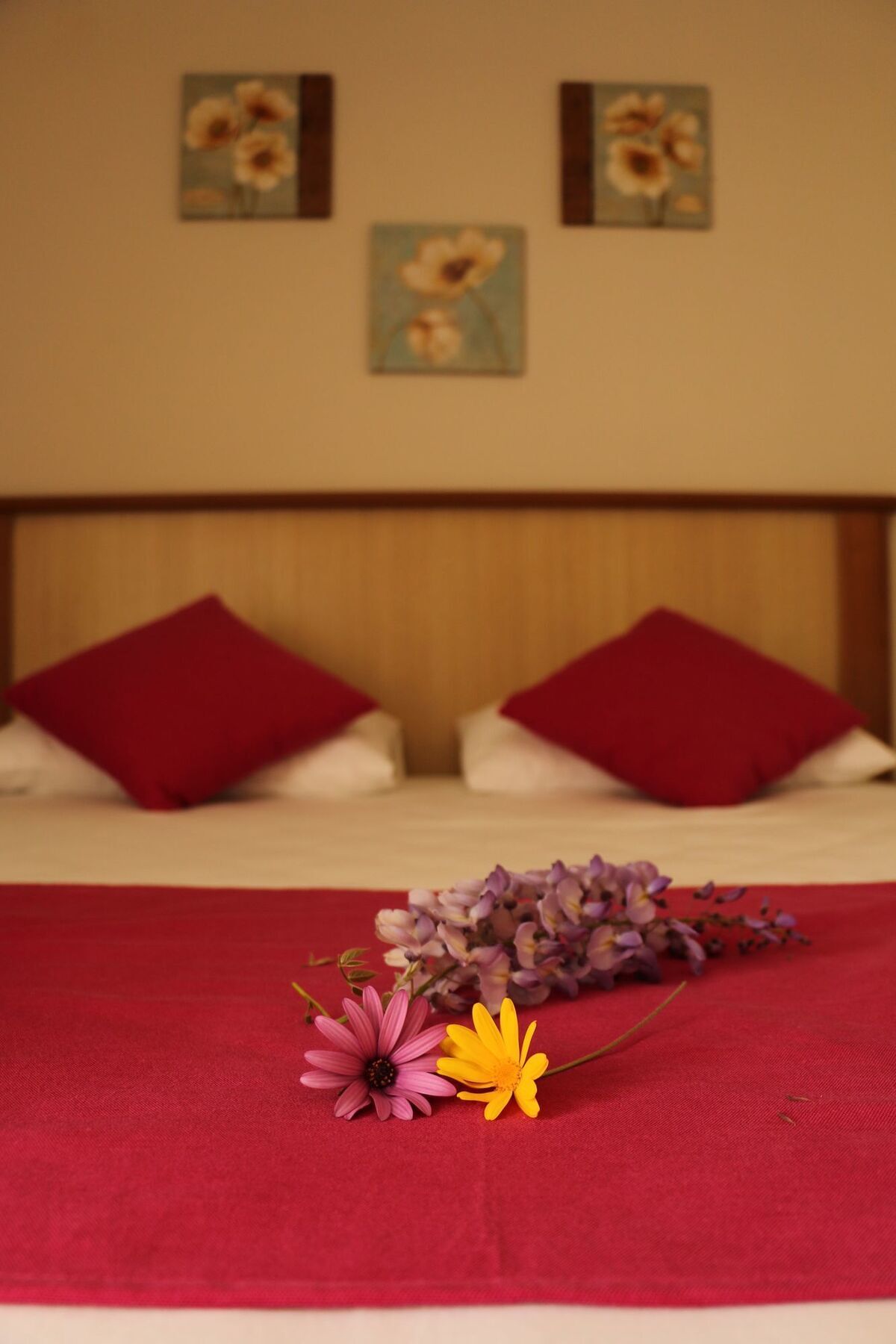 Cunda Sir Hotel Ayvalik Luaran gambar