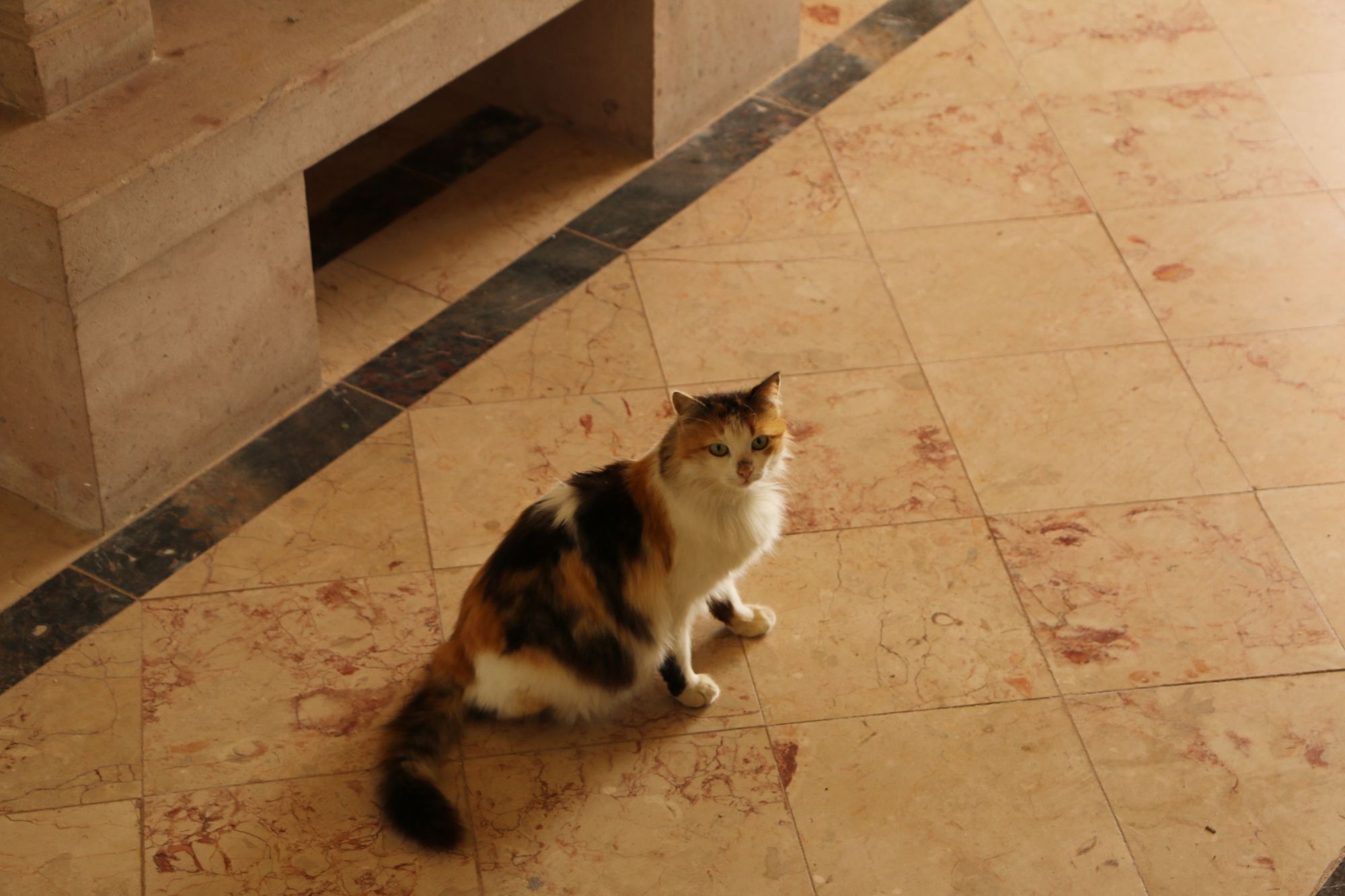 Cunda Sir Hotel Ayvalik Luaran gambar